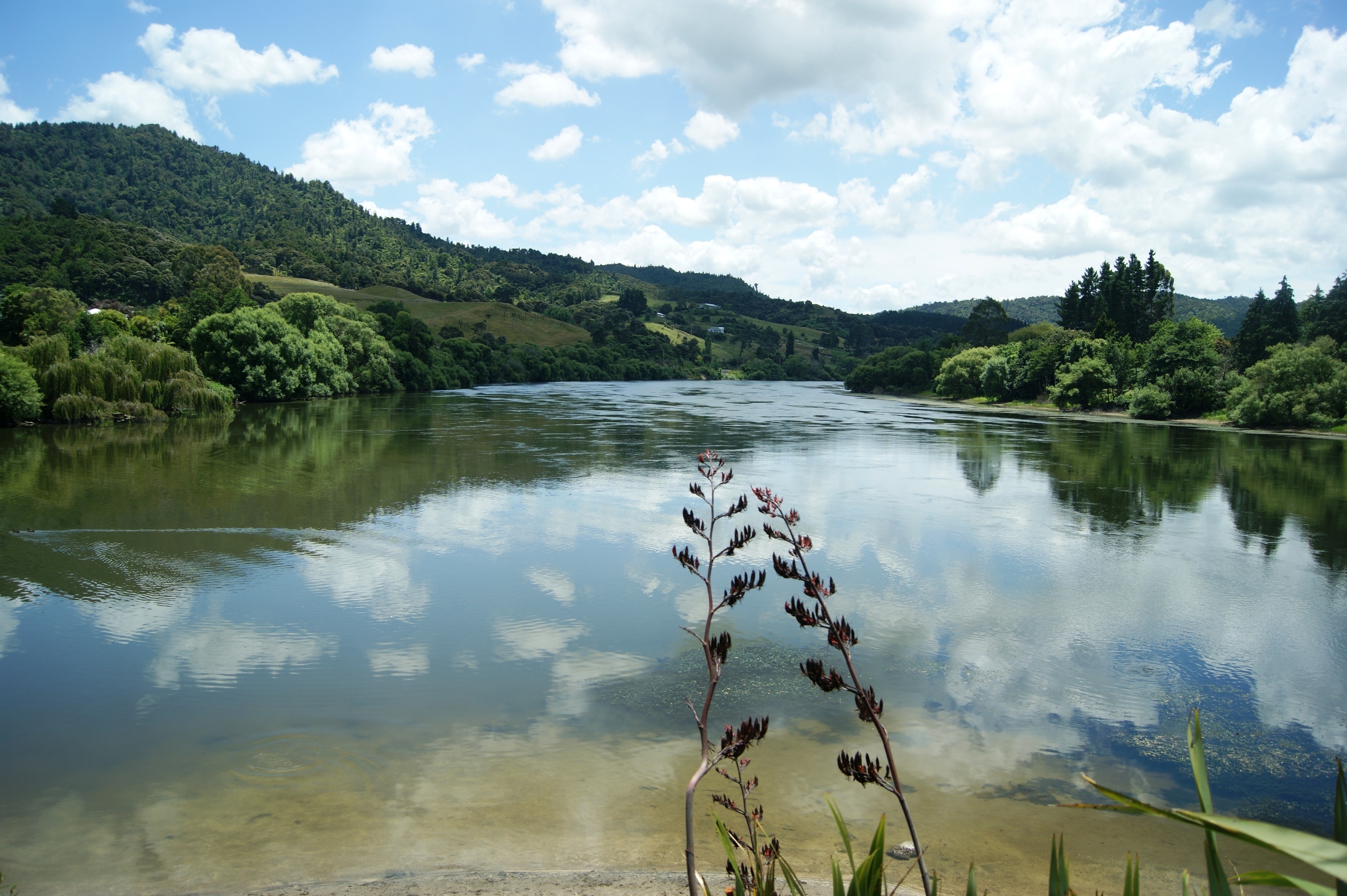 Te Puna Wai Tours Ltd