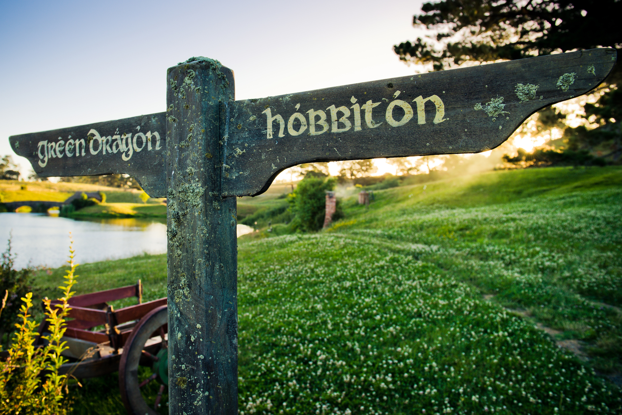Hobbiton Movie Set