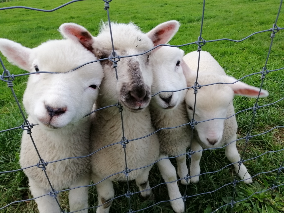 Rural Tours Ltd